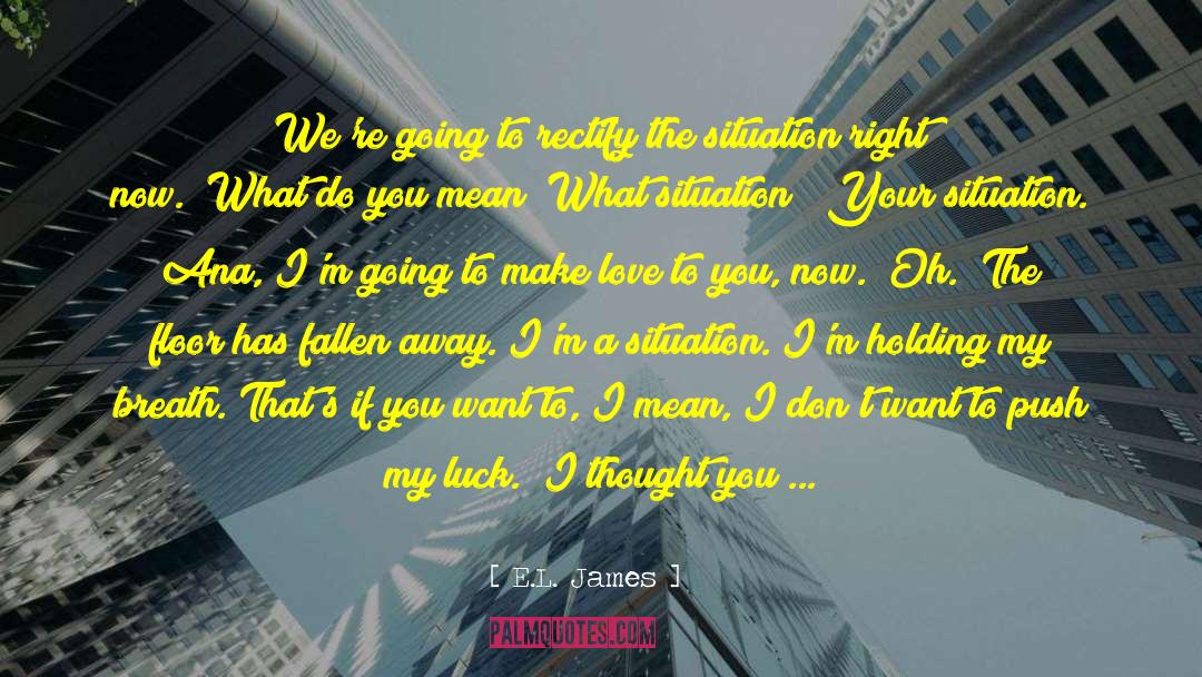 Rectify quotes by E.L. James
