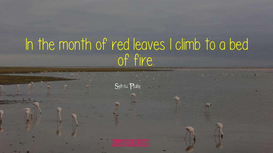Red Alert quotes by Sylvia Plath