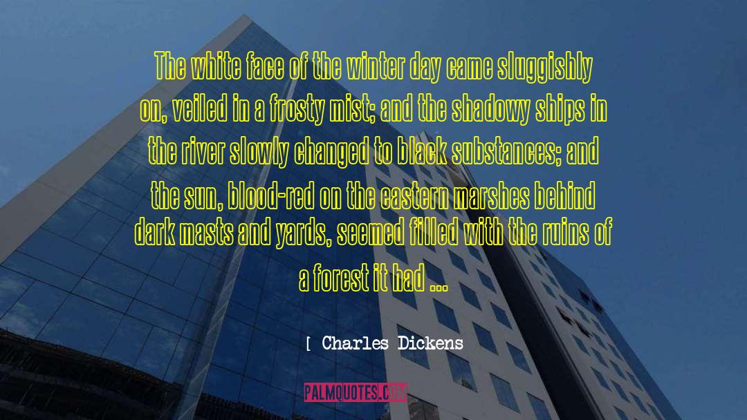 Red And Green quotes by Charles Dickens