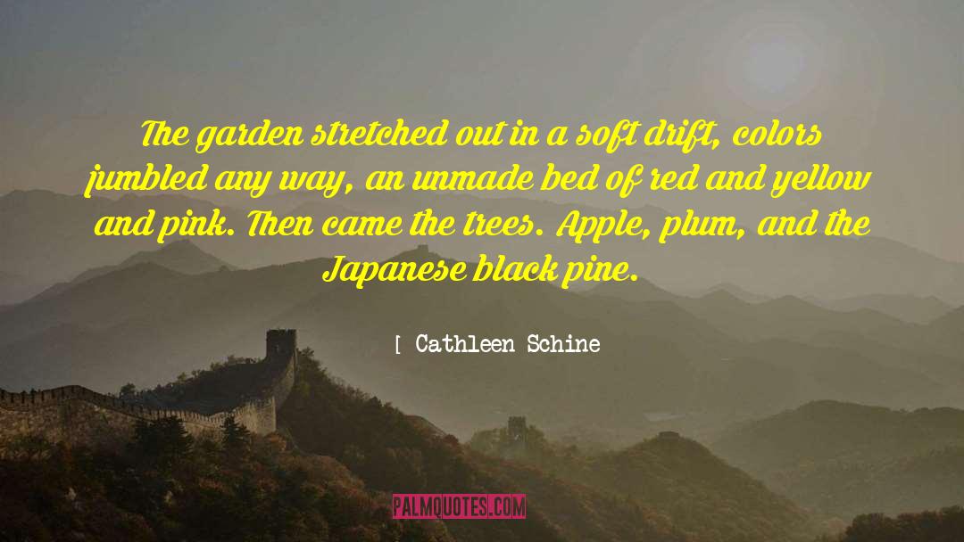 Red And Yellow quotes by Cathleen Schine