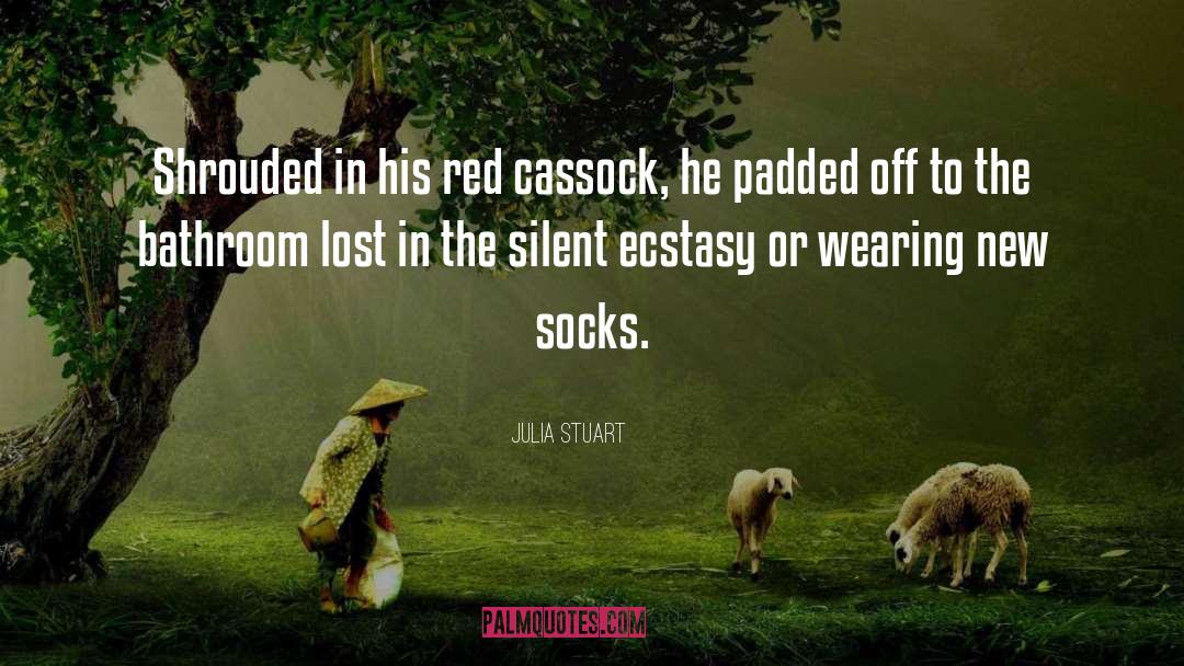 Red Cardigan quotes by Julia Stuart