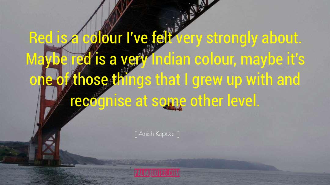 Red Colour quotes by Anish Kapoor