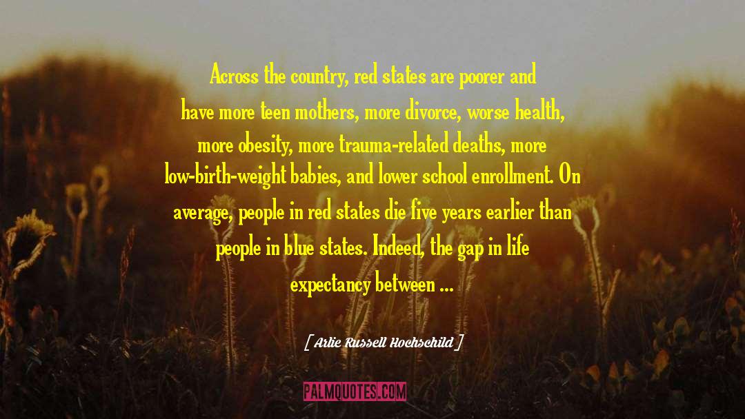 Red Country Synposis quotes by Arlie Russell Hochschild