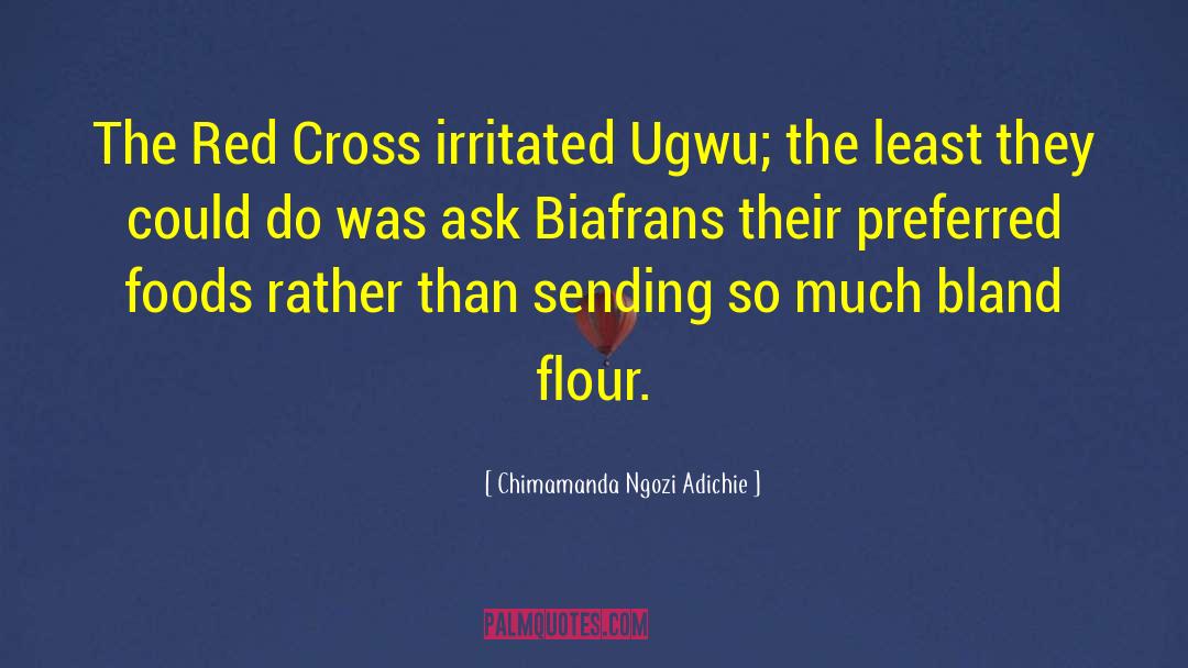 Red Cross quotes by Chimamanda Ngozi Adichie