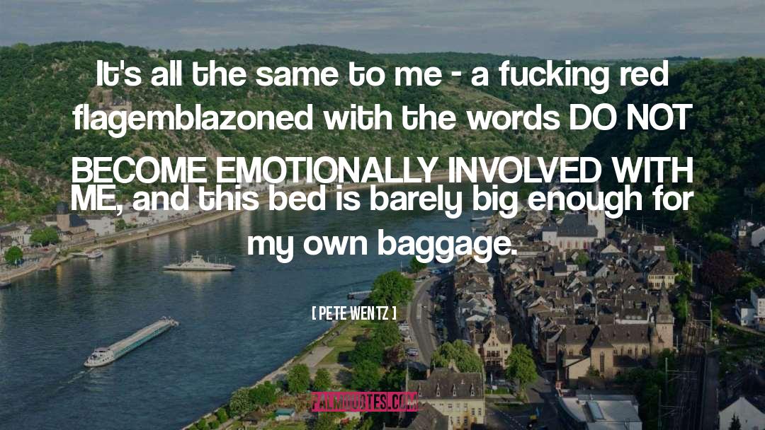 Red Flag quotes by Pete Wentz