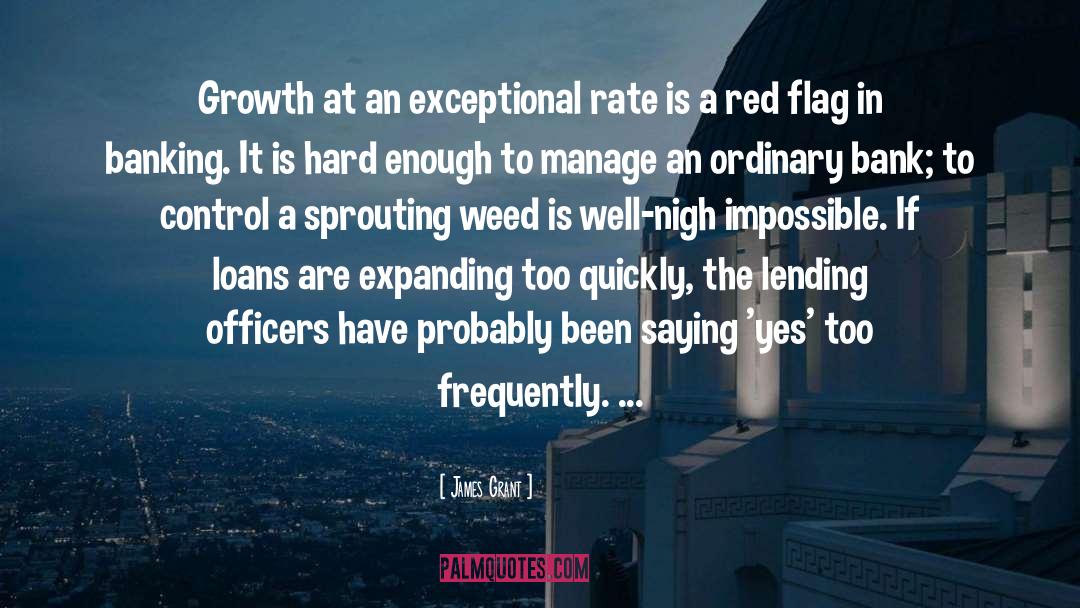 Red Flags quotes by James Grant