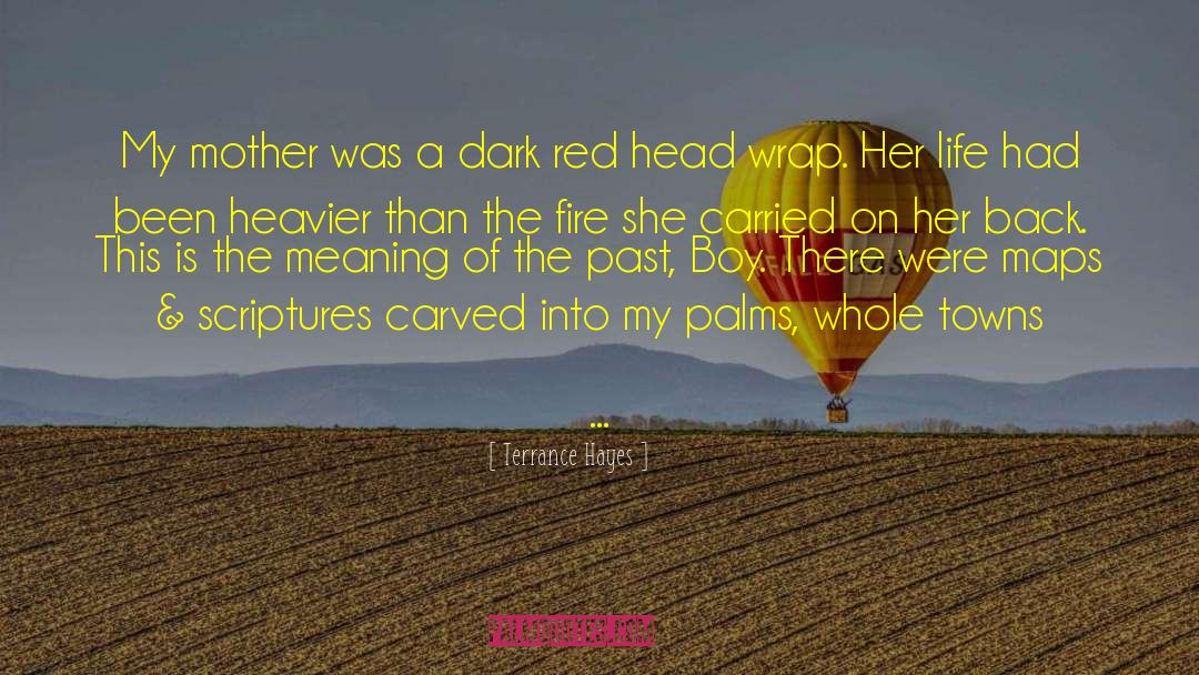 Red Glove quotes by Terrance Hayes