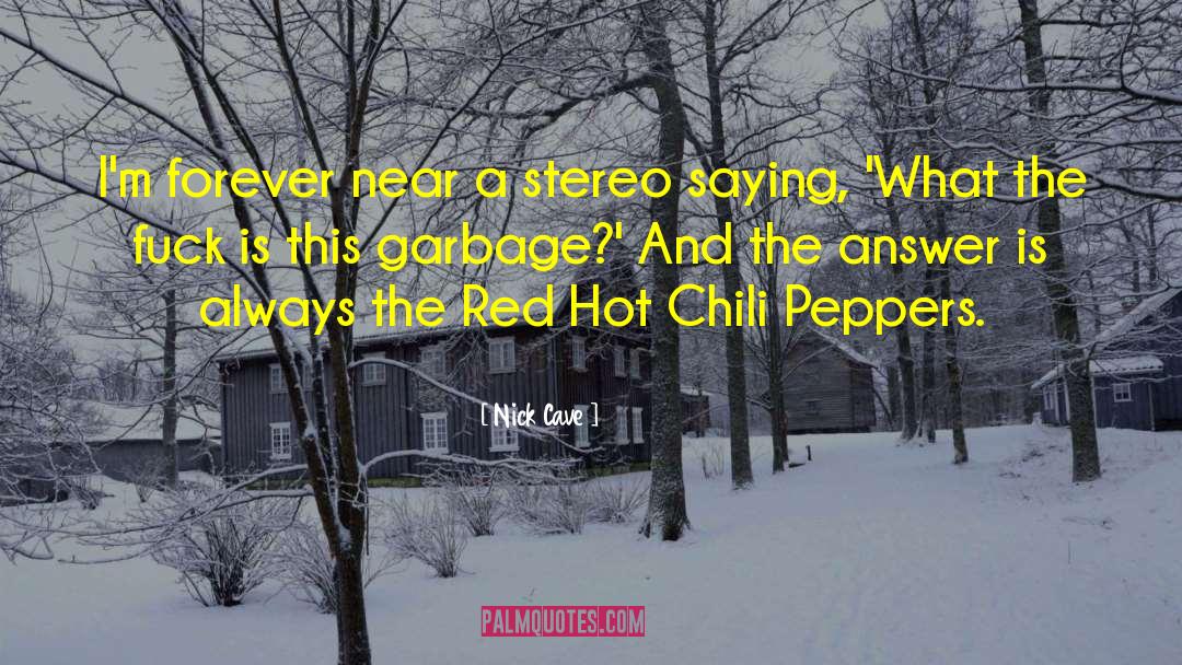 Red Hot Chili Peppers quotes by Nick Cave