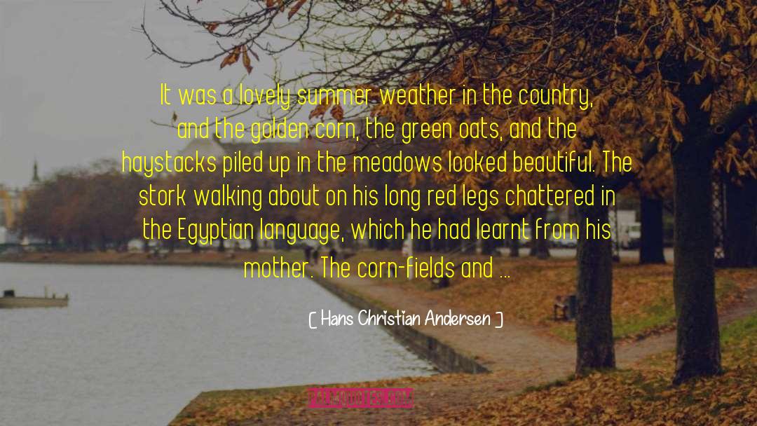 Red Leaf quotes by Hans Christian Andersen