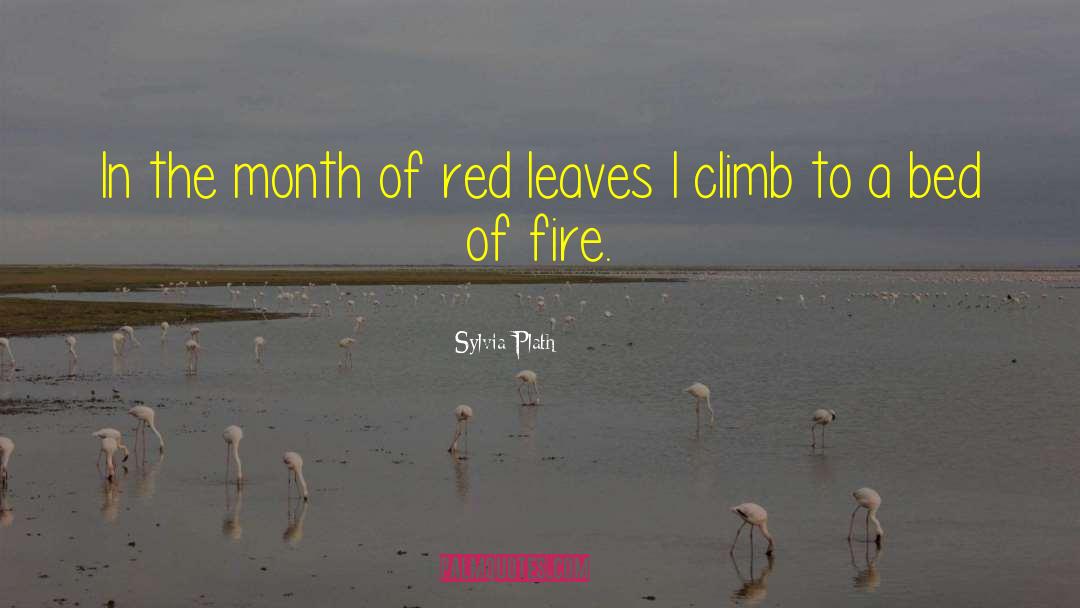 Red Leaves quotes by Sylvia Plath