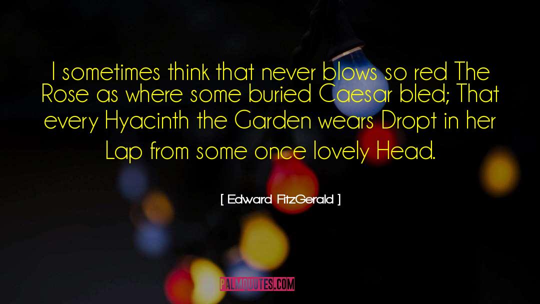 Red Lights quotes by Edward FitzGerald