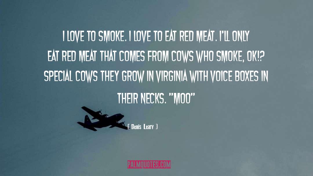 Red Meat quotes by Denis Leary