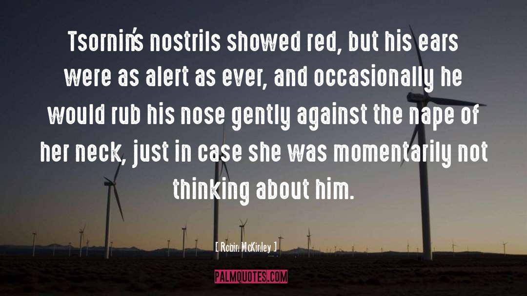 Red Nose In Winter quotes by Robin McKinley