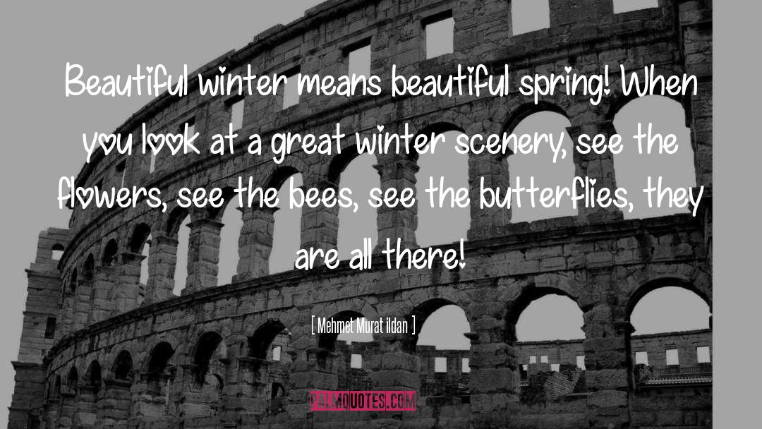 Red Nose In Winter quotes by Mehmet Murat Ildan