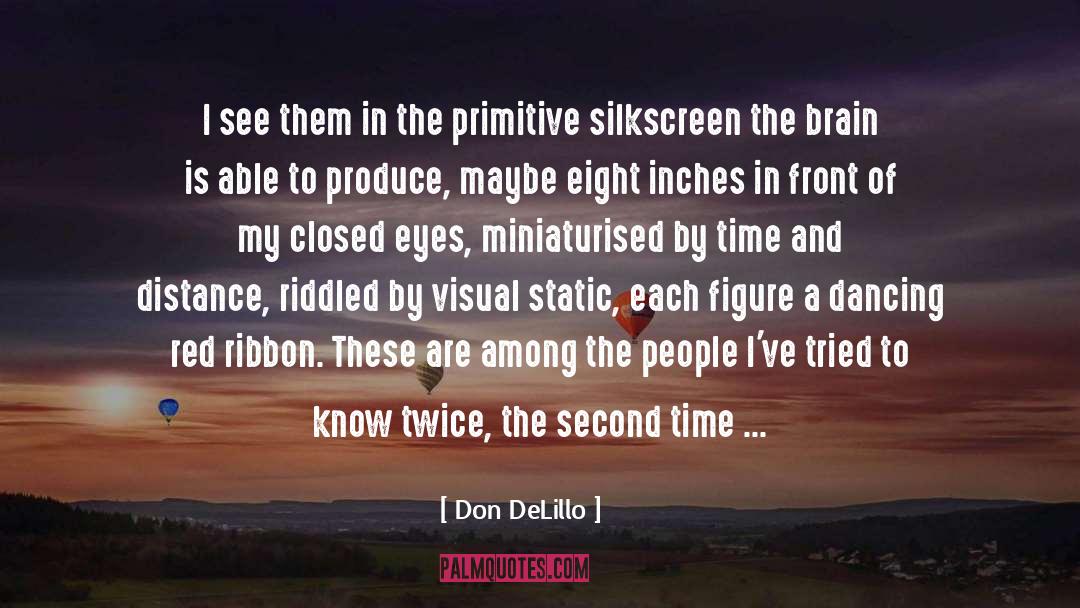 Red Ribbon quotes by Don DeLillo