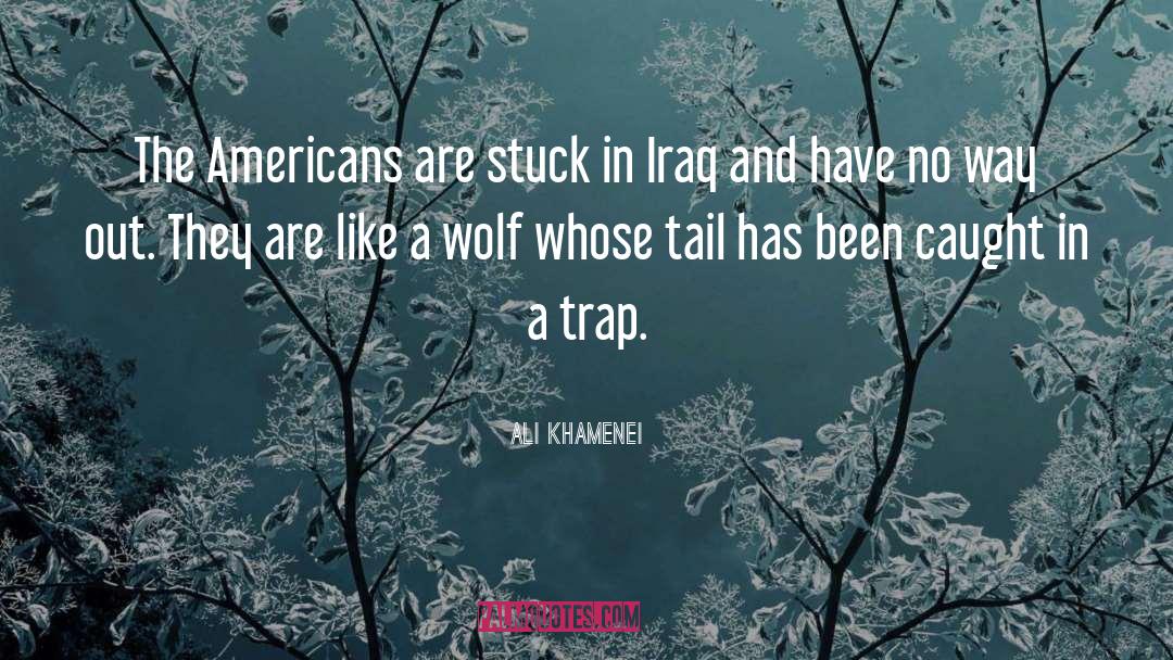 Red Riding Hood And The Wolf quotes by Ali Khamenei