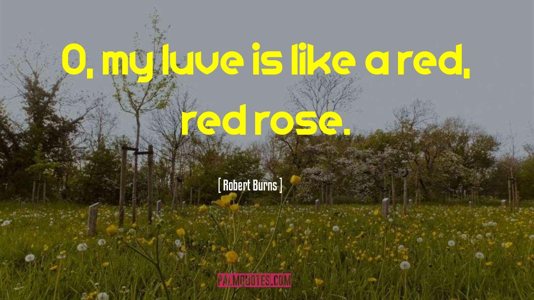 Red Rose quotes by Robert Burns