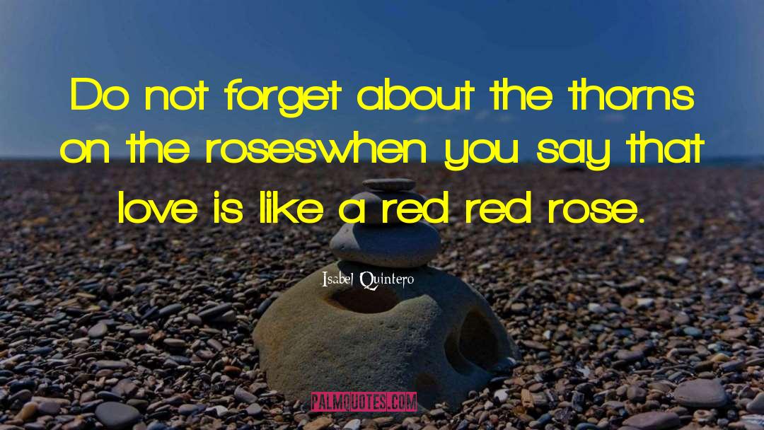 Red Rose quotes by Isabel Quintero