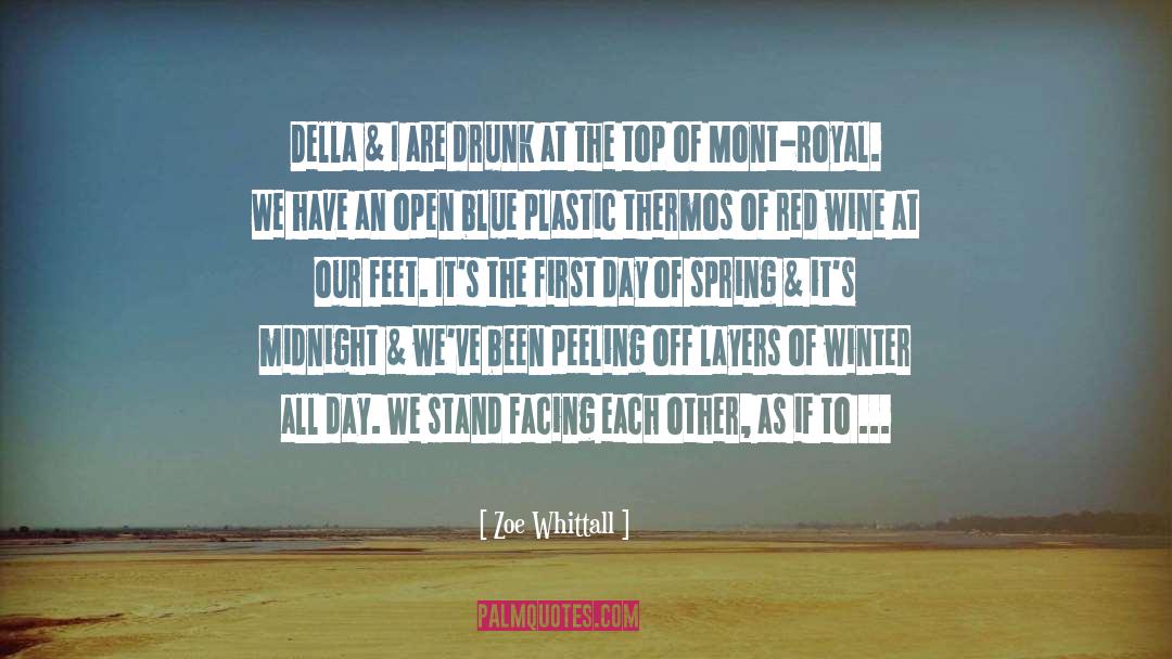 Red Seas Under Red Skies quotes by Zoe Whittall