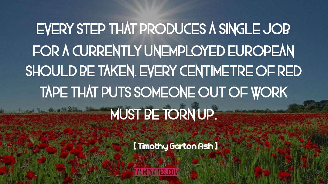 Red Tape quotes by Timothy Garton Ash
