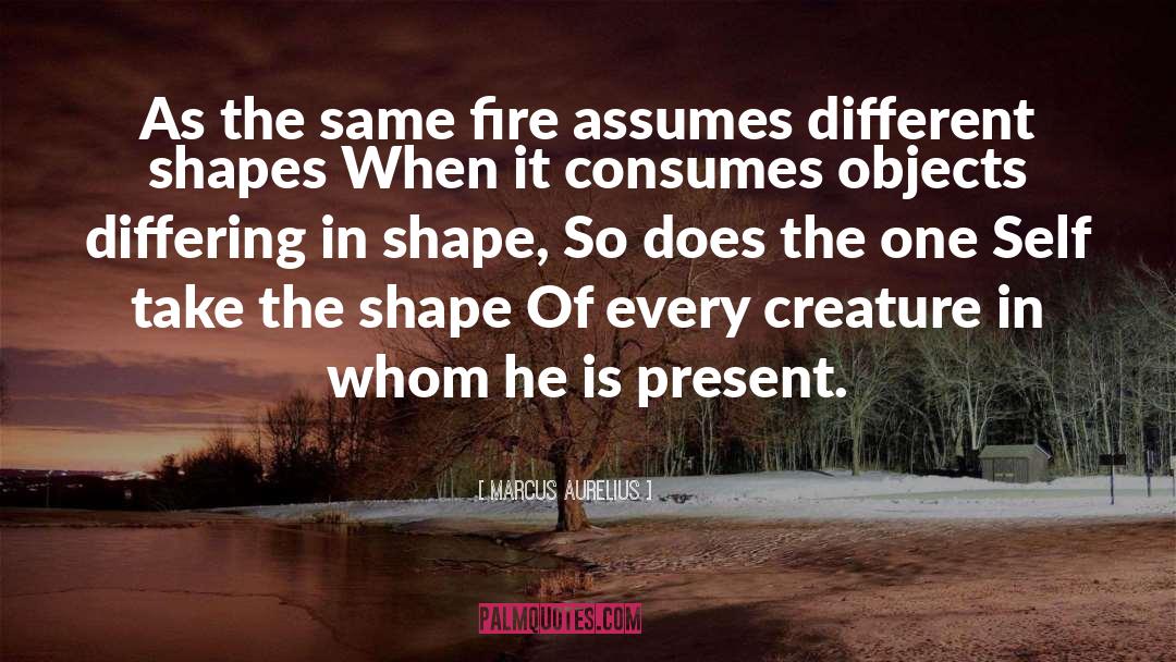 Rediscover One Self quotes by Marcus Aurelius