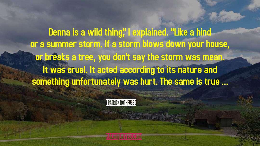 Redneck Storm quotes by Patrick Rothfuss