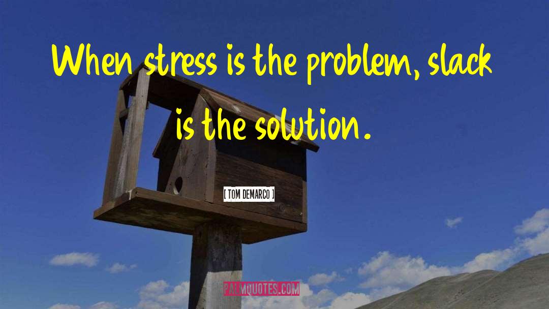 Reduce Stress quotes by Tom DeMarco