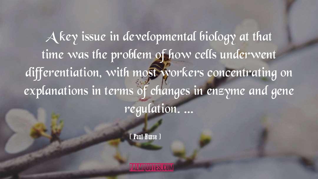 Reductase Enzyme quotes by Paul Nurse