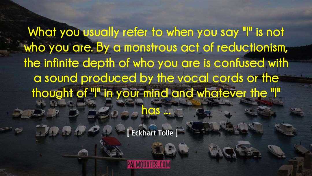 Reductionism quotes by Eckhart Tolle