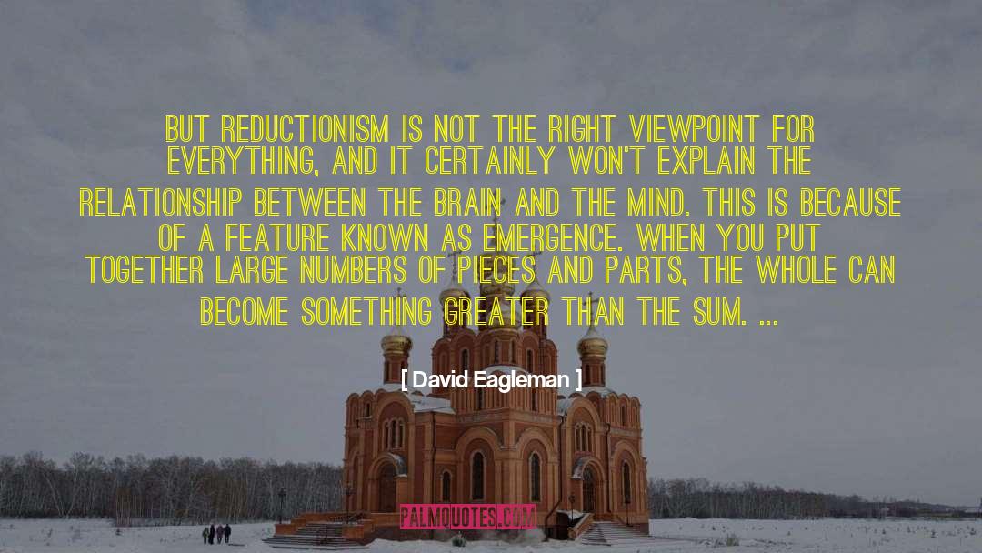 Reductionism quotes by David Eagleman