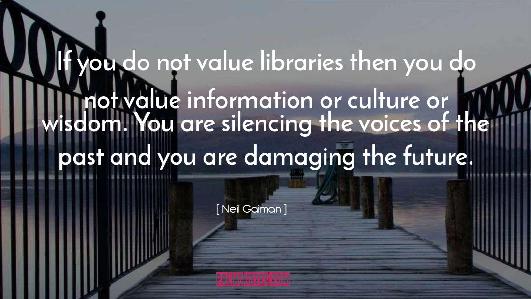 Redundant Information quotes by Neil Gaiman