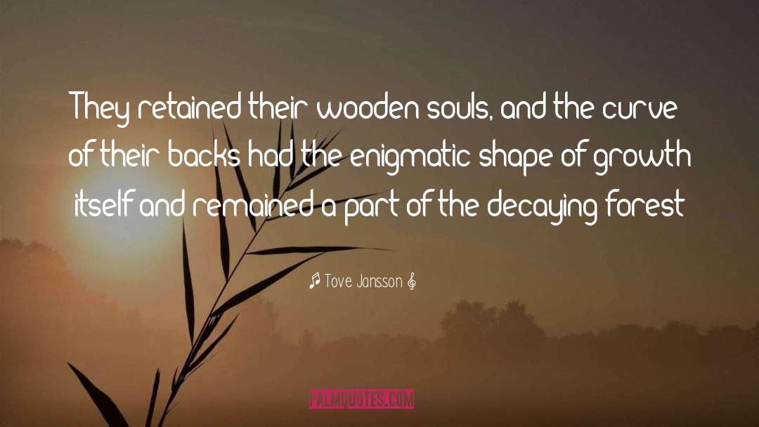 Redwood Forest quotes by Tove Jansson