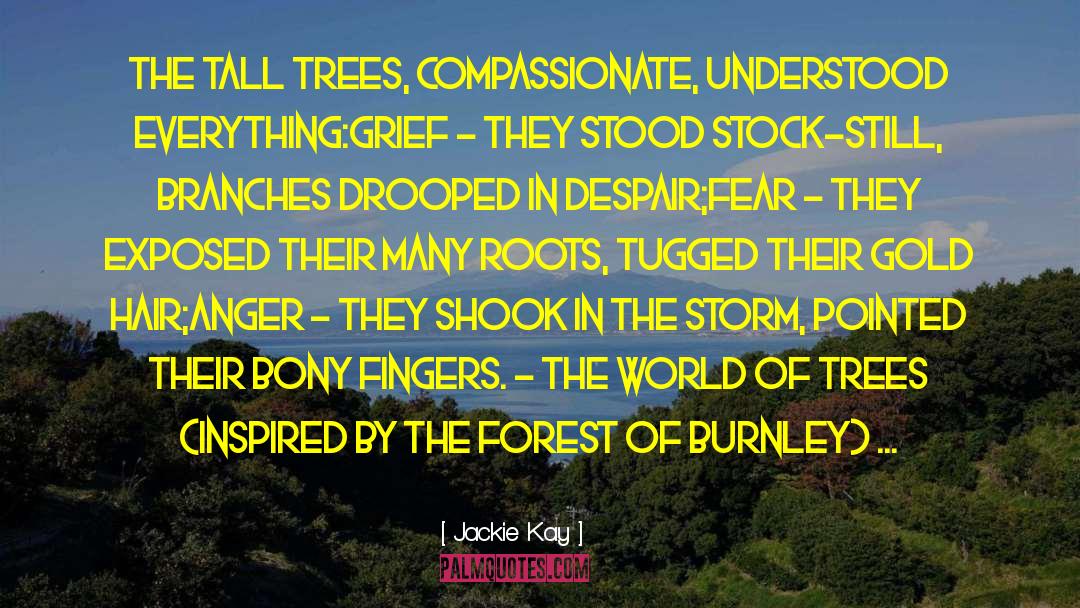 Redwood Forest quotes by Jackie Kay