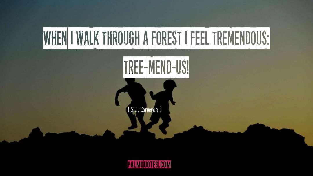 Redwood Forest quotes by S.J. Cameron