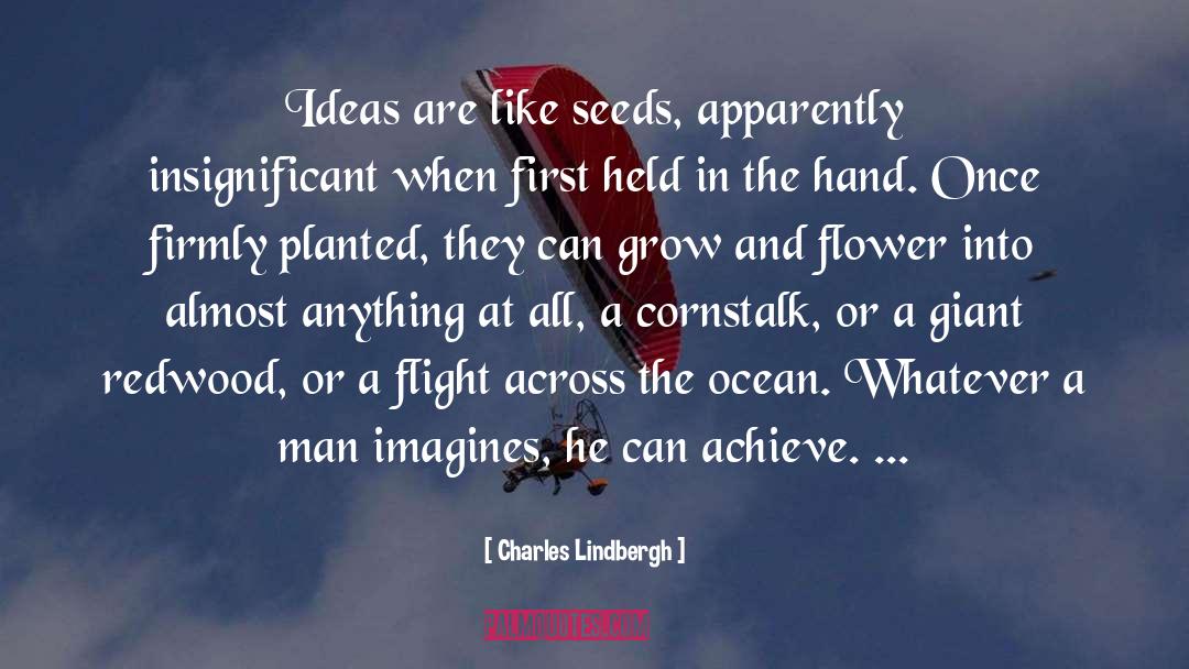 Redwood quotes by Charles Lindbergh
