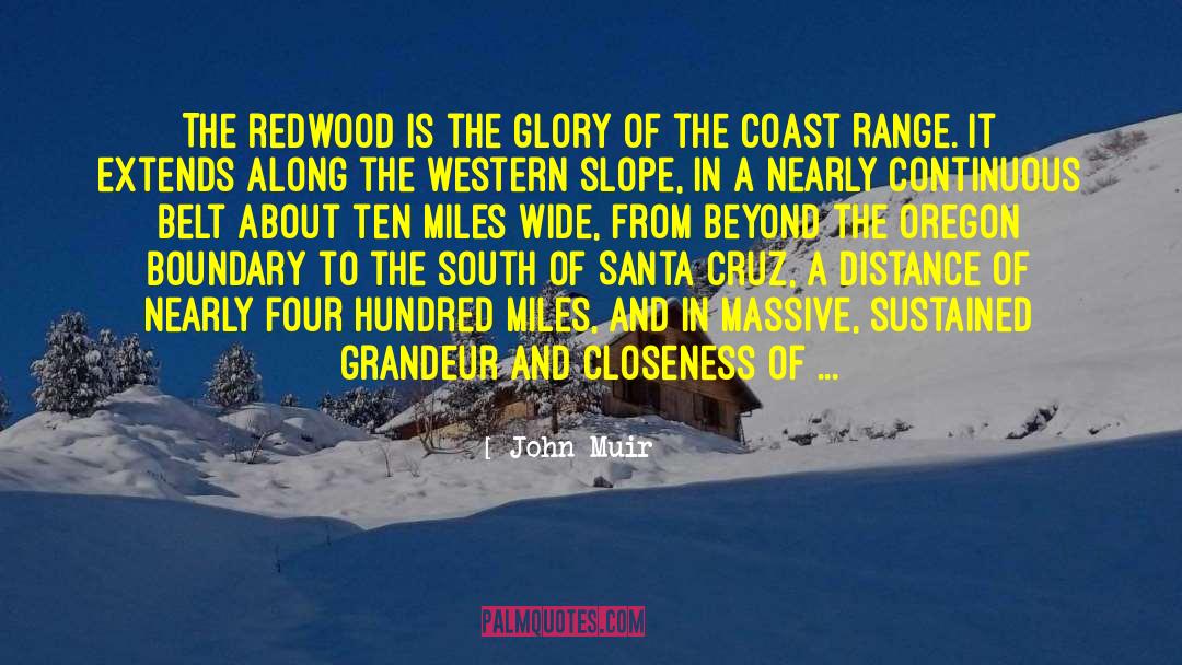 Redwood quotes by John Muir