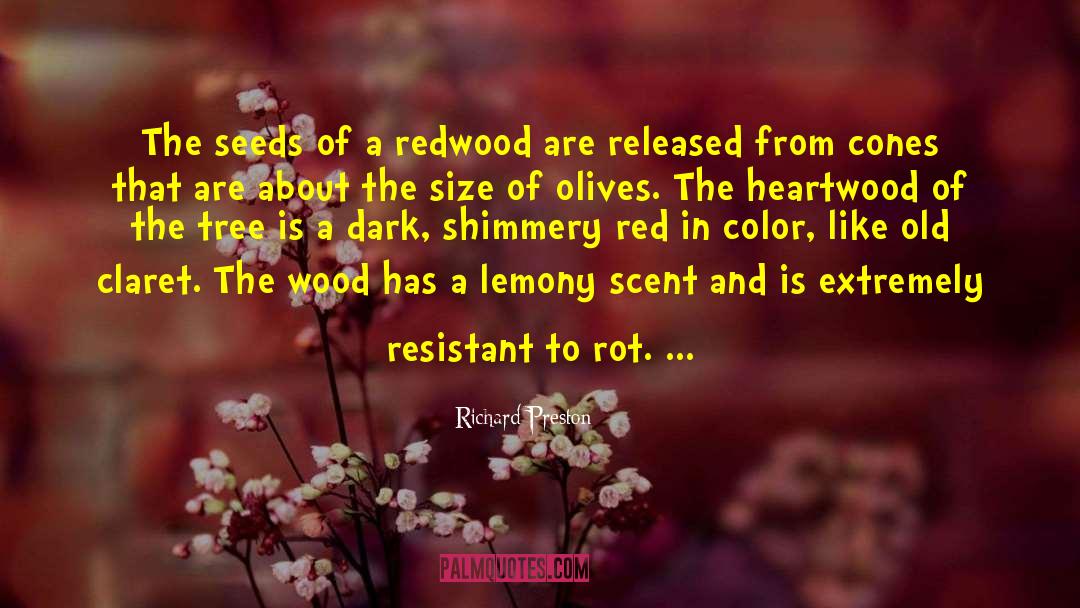 Redwood quotes by Richard Preston