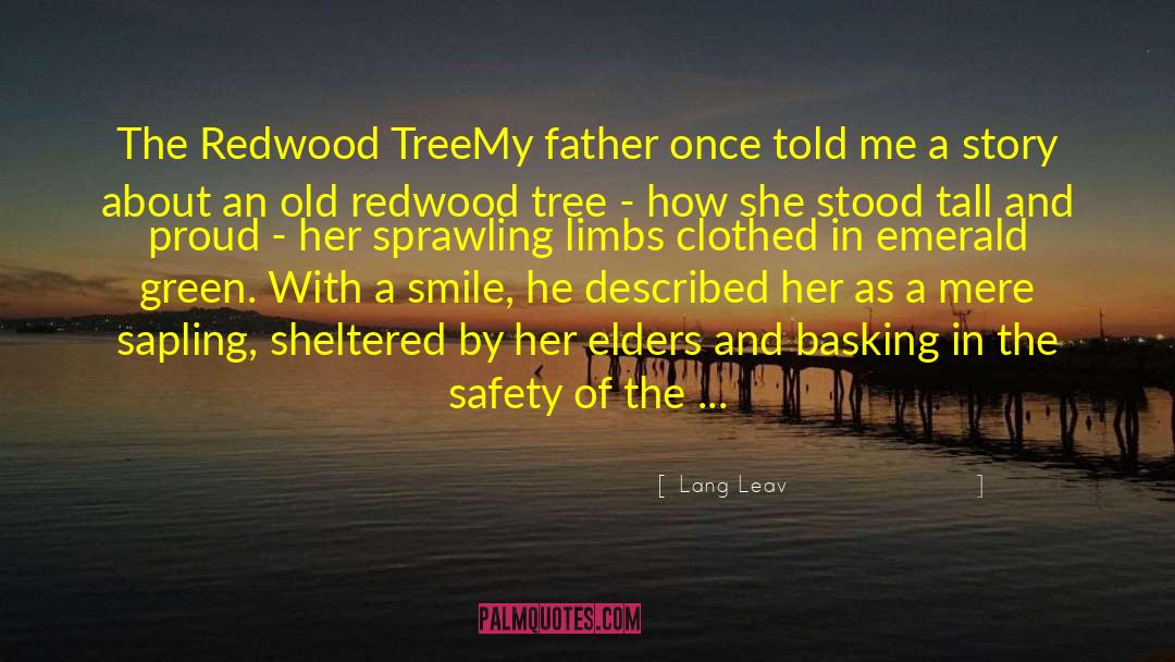 Redwood quotes by Lang Leav