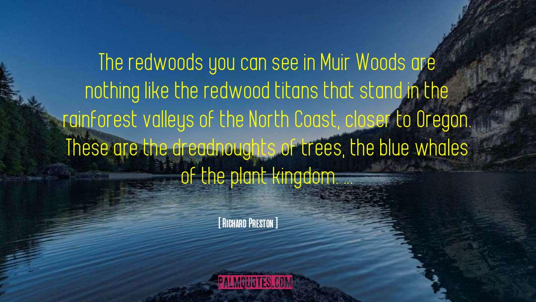 Redwood quotes by Richard Preston