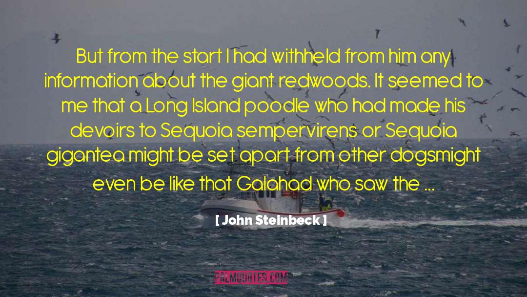 Redwoods quotes by John Steinbeck