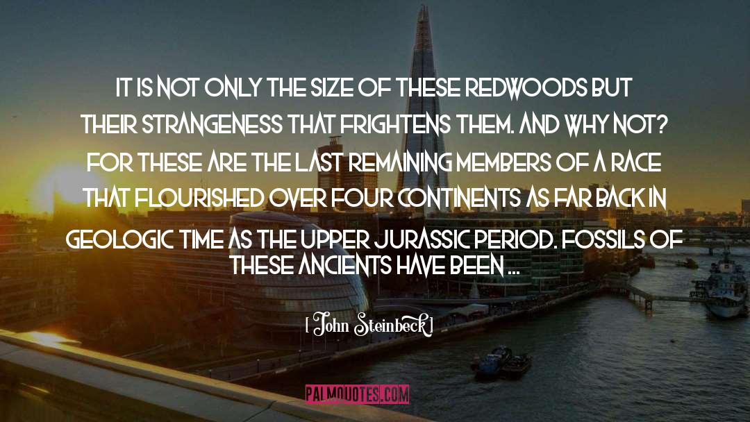 Redwoods quotes by John Steinbeck