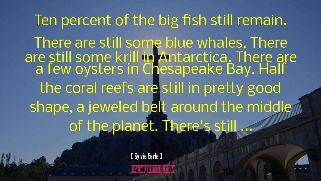 Reefs quotes by Sylvia Earle