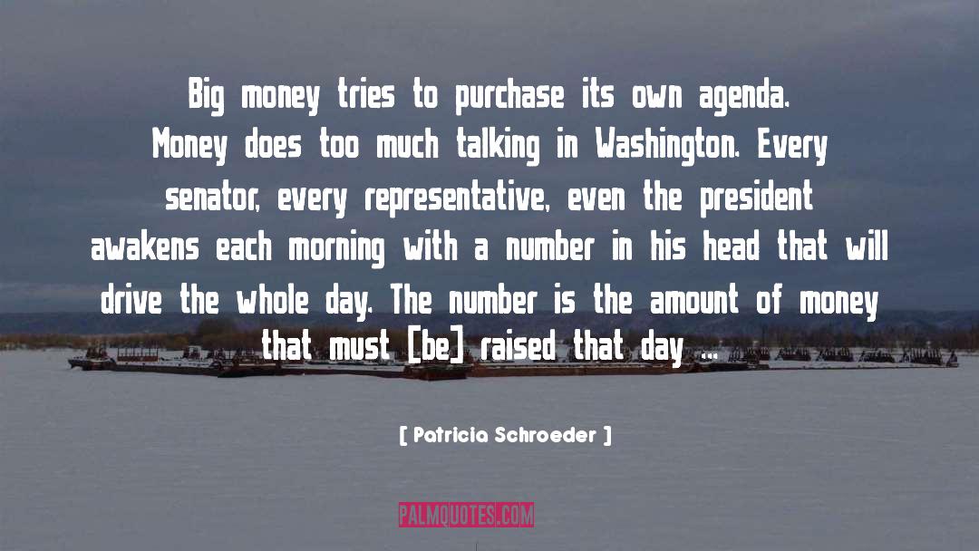 Reelection quotes by Patricia Schroeder