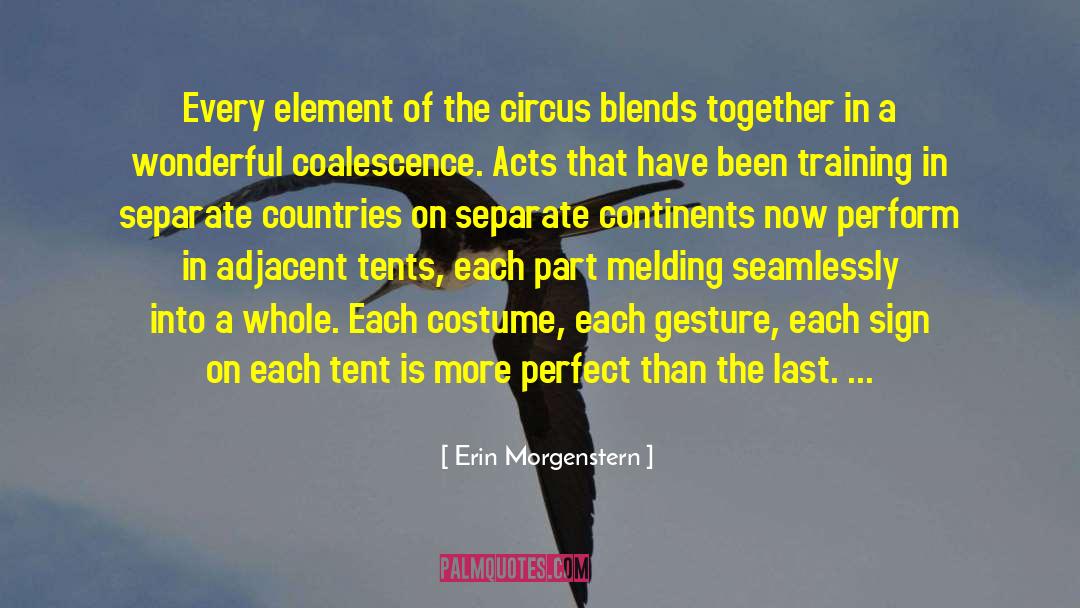 Reenactment Tents quotes by Erin Morgenstern