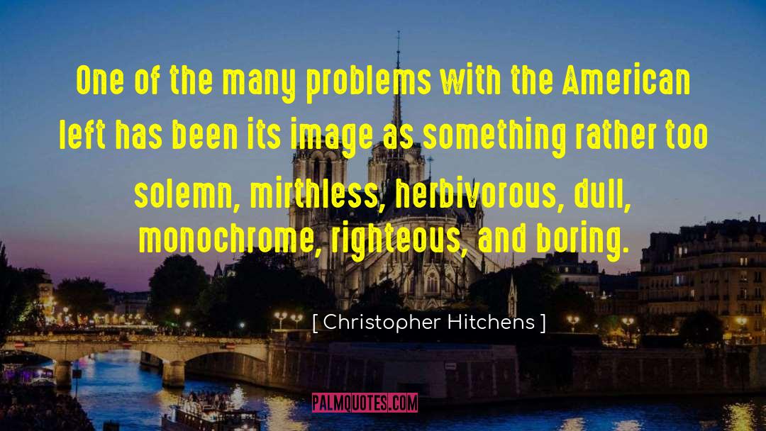 Reentry Problems quotes by Christopher Hitchens