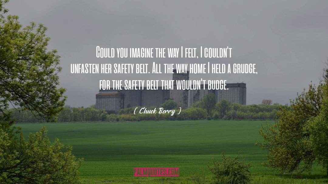 Reestablishing Safety quotes by Chuck Berry