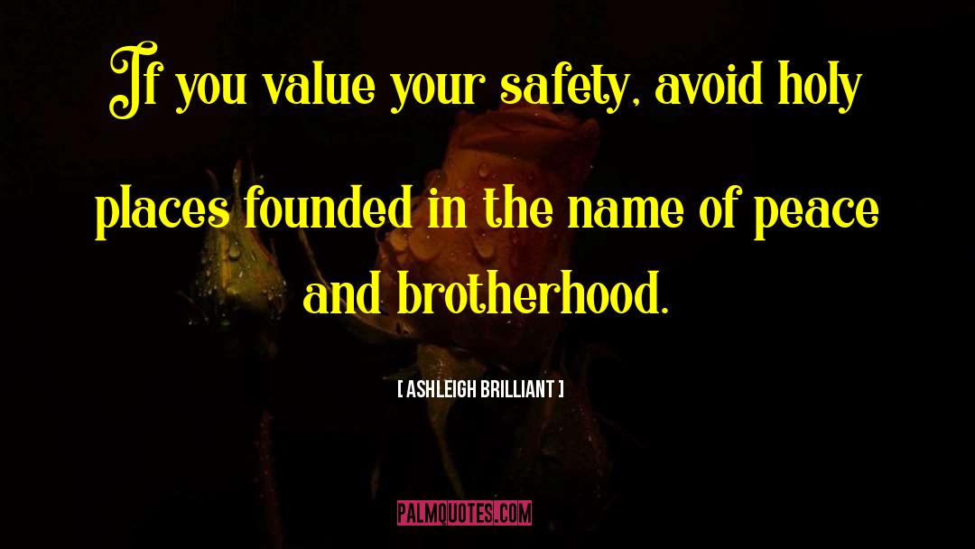 Reestablishing Safety quotes by Ashleigh Brilliant