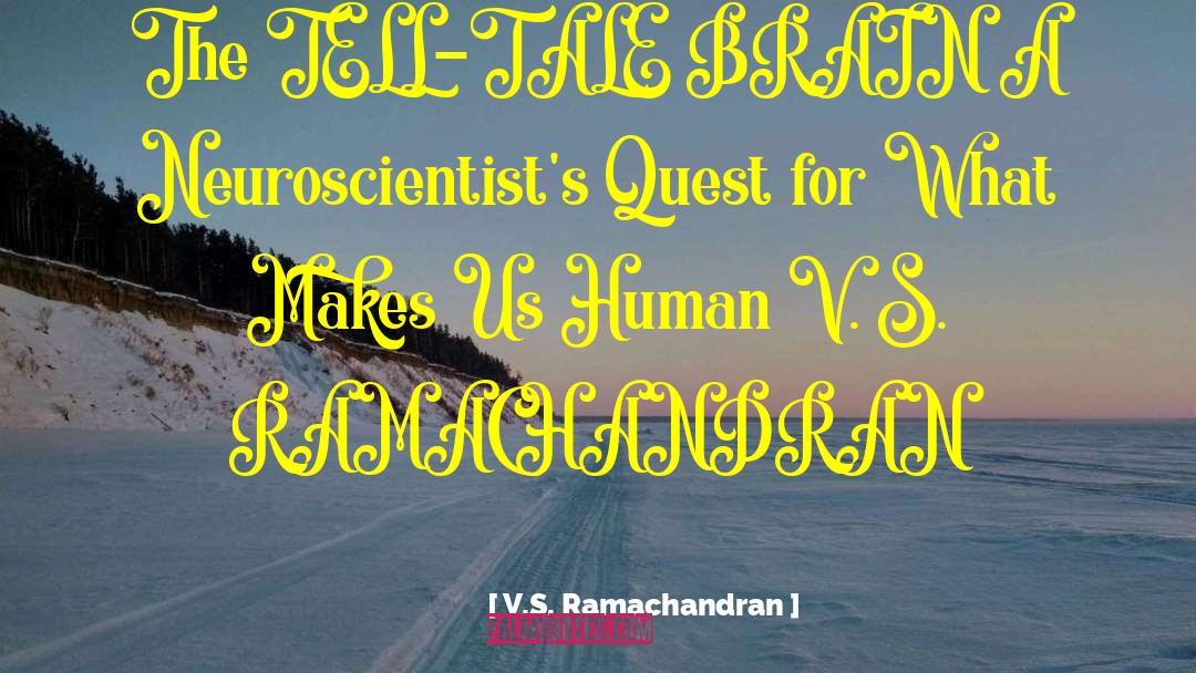 Reeve S Tale quotes by V.S. Ramachandran