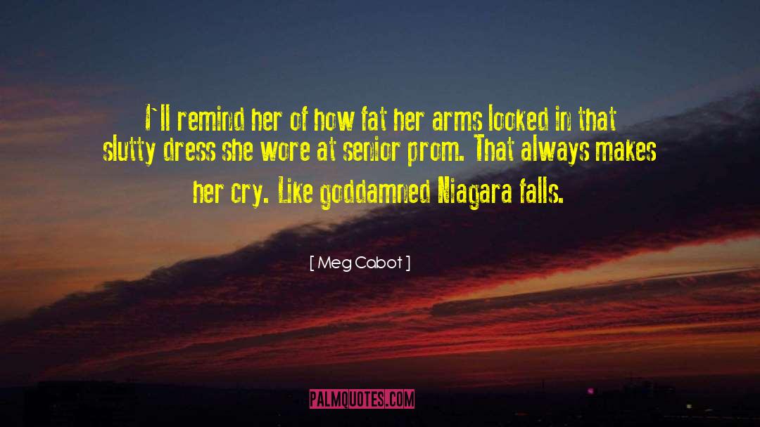Referencing Niagara quotes by Meg Cabot