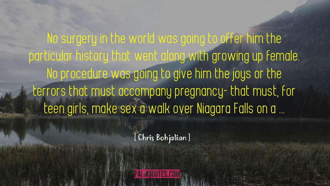 Referencing Niagara quotes by Chris Bohjalian